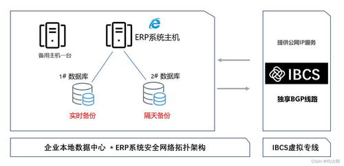 企业ERP系统中勒索病毒怎么办 如何防范数据丢失
